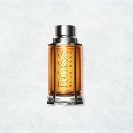 Άρωμα Τύπου The Scent - H B